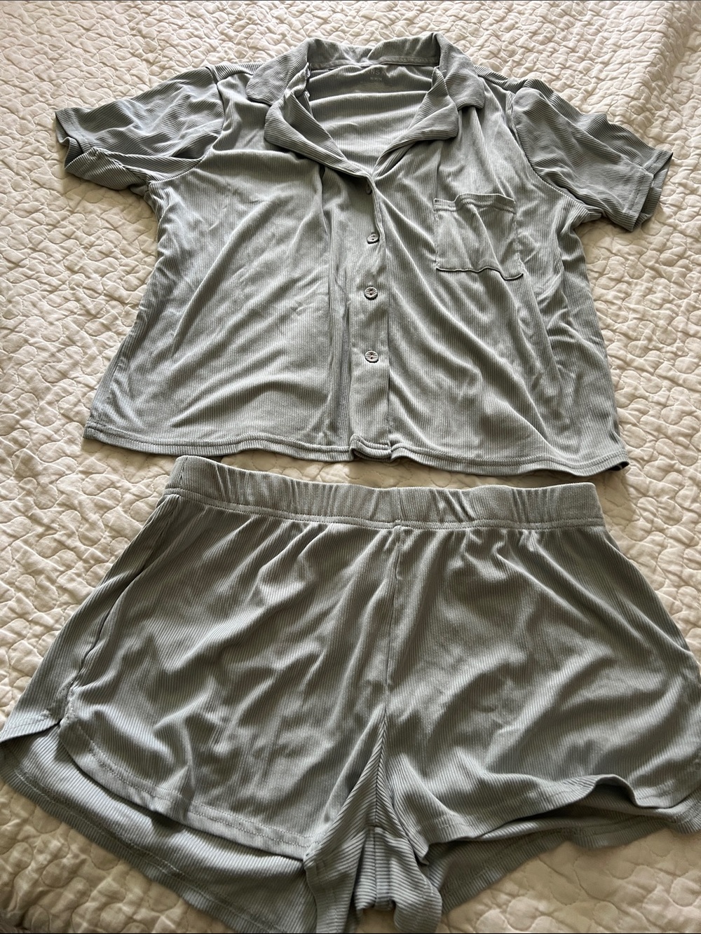 Danskin Light Blue/Sage Short Sleeve Button Pajama Set